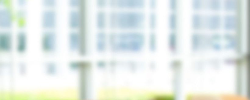 Sunlit blurred office windows with indoor plant