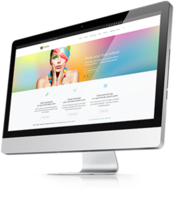 Monitor displaying colorful webpage with rainbow-haired model